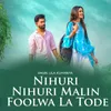 About Nihuri Nihuri Malin Foolwa La Tode Song